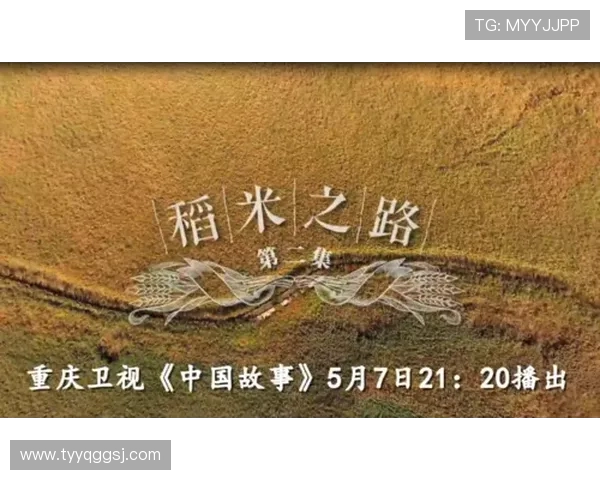 乒乓球运动的魅力与发展历程:从起源到全球化的精彩之旅 乒乓球运动的魅力与发展历程:从起源到全球化的精彩之旅