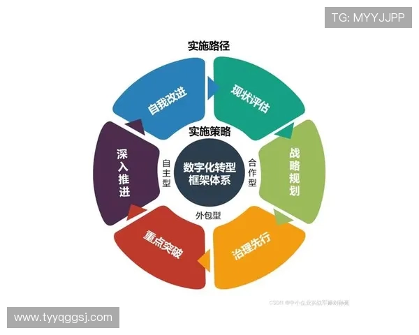 TES重塑自我探索新篇章职业联赛中的转型与挑战