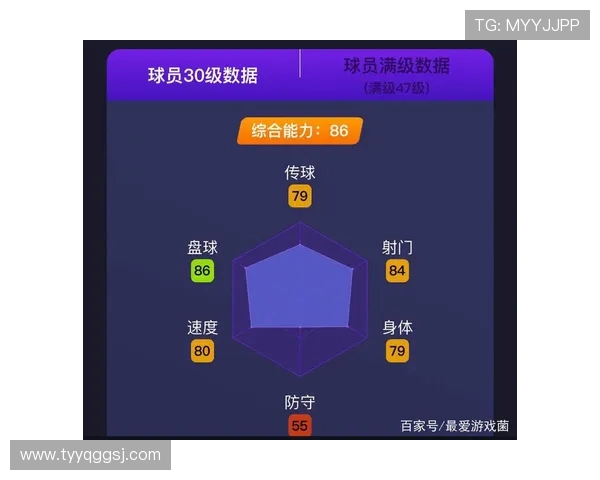 深圳网球队灵活性分析与发展策略探讨 深圳网球队灵活性分析与发展策略探讨