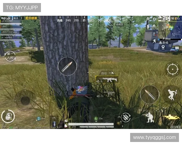 聚焦和平精英技术创新与BLG团队的未来发展探索