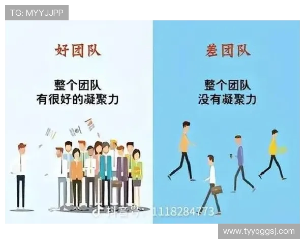 以Meiko辅助为核心的高效团队作战技巧全面解析 以Meiko辅助为核心的高效团队作战技巧全面解析